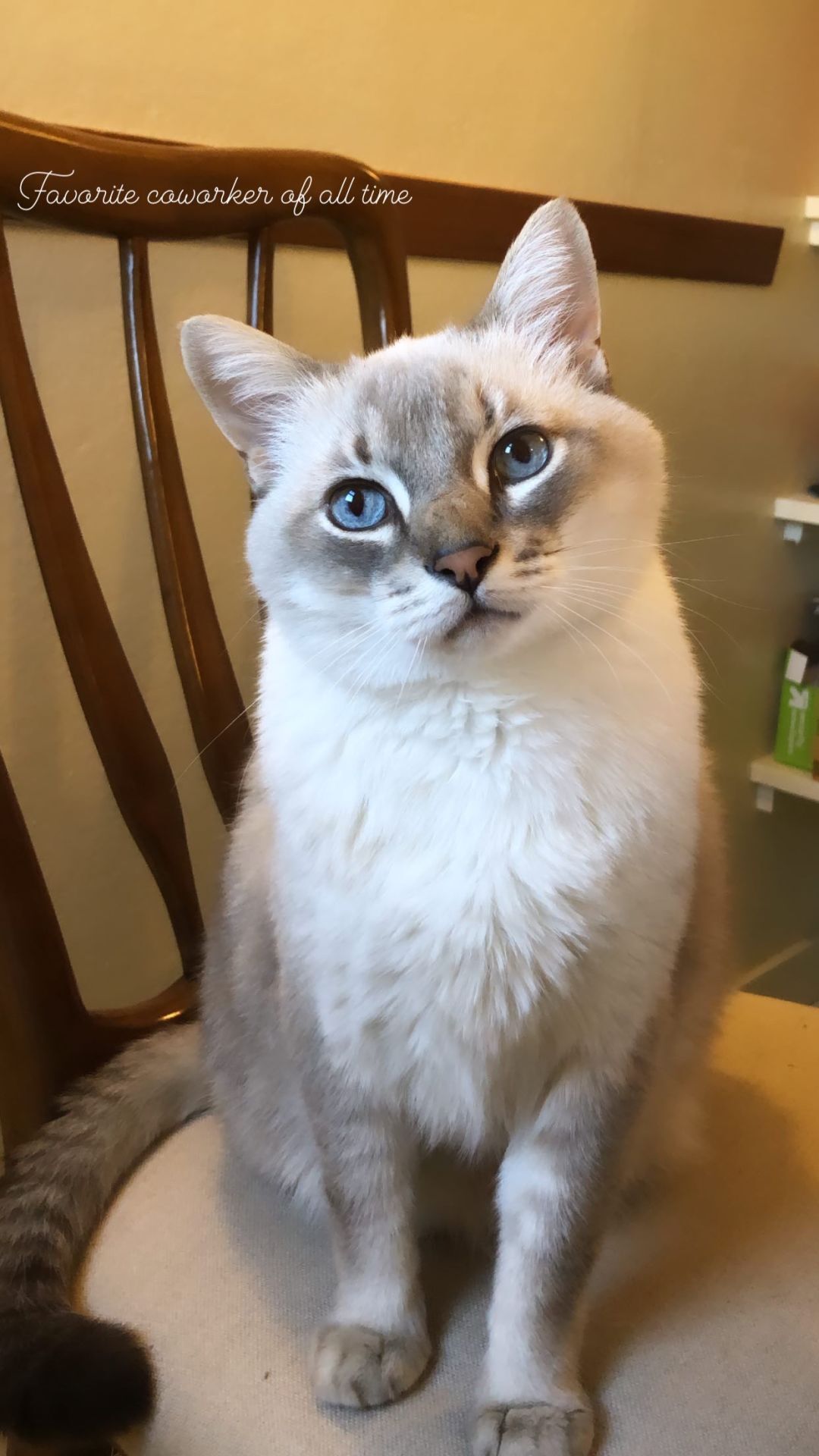 Harvey